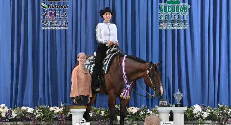 High End True All-Around Gelding