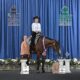 High End True All-Around Gelding