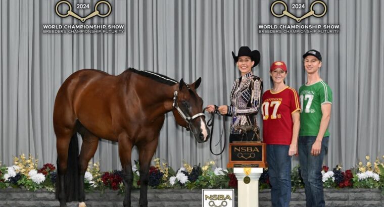 High End True All-Around Gelding