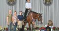 High End True All-Around Gelding