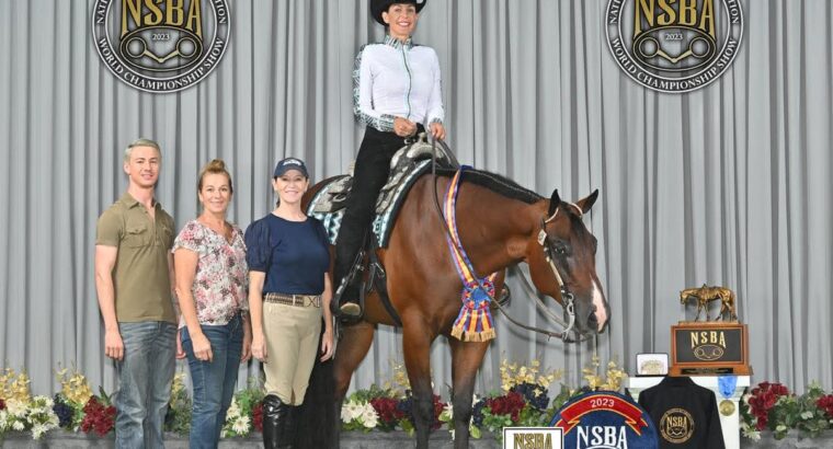 High End True All-Around Gelding
