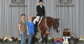 High End True All-Around Gelding