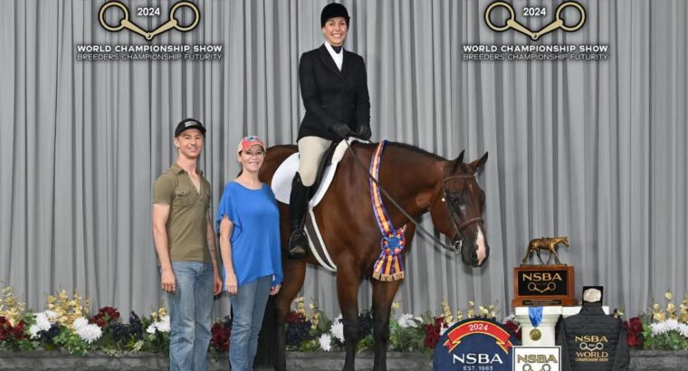 High End True All-Around Gelding