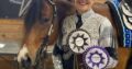 Winnies Willy All-Around Gelding