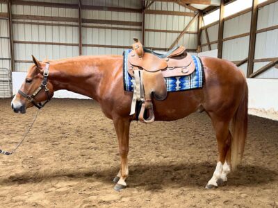 VS Code Blue All-Around Prospect