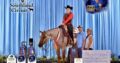 Fancy Trail Deluxe Roan All-Around Gelding