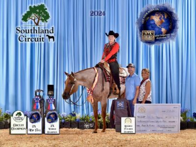 Fancy Trail Deluxe Roan All-Around Gelding