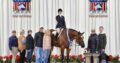 Congress & NSBA World Champion All-Arounder