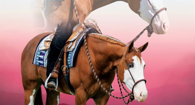 Flashy Quadruple Registered Heart Stoppin Mare