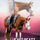 Flashy Quadruple Registered Heart Stoppin Mare