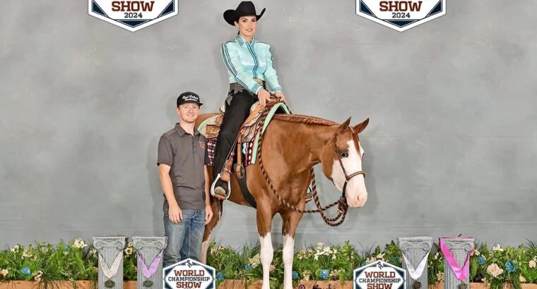 Flashy Quadruple Registered Heart Stoppin Mare