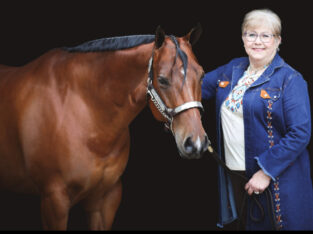 Lazy Loper All-Around Gelding