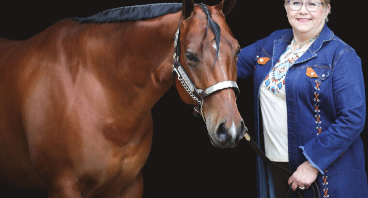 Lazy Loper All-Around Gelding