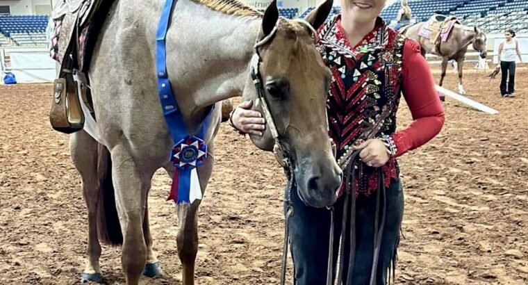 Fancy Trail Deluxe Roan All-Around Gelding