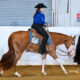 Flashy Quadruple Registered Heart Stoppin Mare