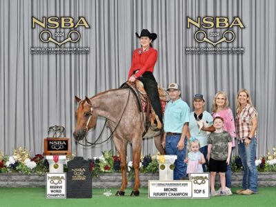 Fancy Trail Deluxe Roan All-Around Gelding