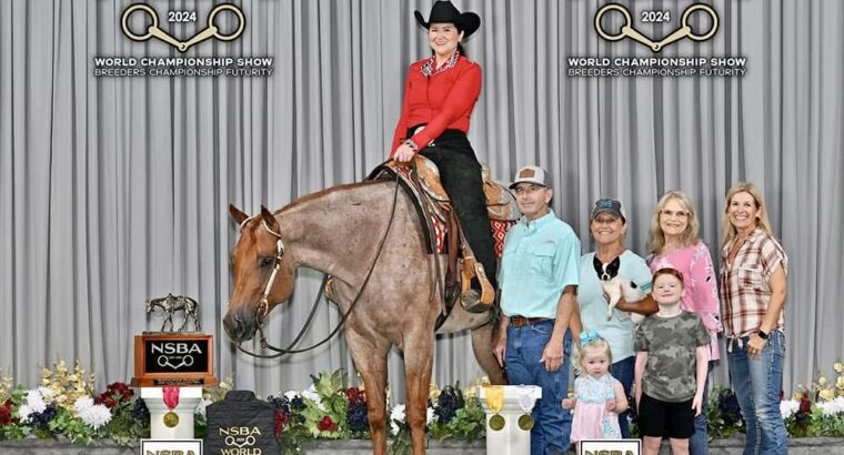 Fancy Trail Deluxe Roan All-Around Gelding