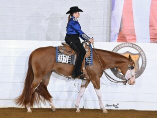 Flashy Quadruple Registered Heart Stoppin Mare