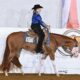 Flashy Quadruple Registered Heart Stoppin Mare
