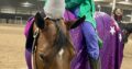 Lazy Loper All-Around Gelding