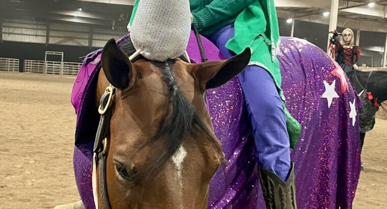 Lazy Loper All-Around Gelding