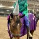 Lazy Loper All-Around Gelding