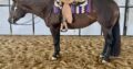 Pretty Pleasure Only In The Moonlite Mare
