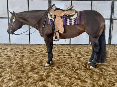 Pretty Pleasure Only In The Moonlite Mare