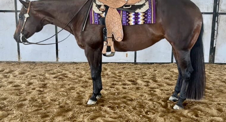 Pretty Pleasure Only In The Moonlite Mare