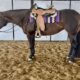 Pretty Pleasure Only In The Moonlite Mare