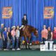 Congress & NSBA World Champion All-Arounder