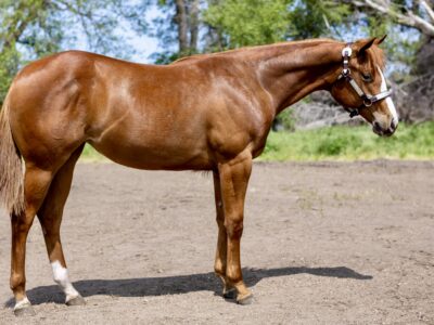 Double Longe Line Prospect