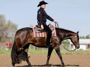 Beautiful Machine Made Pleasure Mare