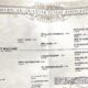 Fancy High End All-Around Gelding