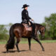Beautiful Machine Made Pleasure Mare