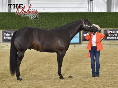 GORGEOUS RANCH PROSPECT