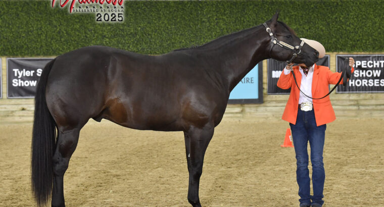 GORGEOUS RANCH PROSPECT