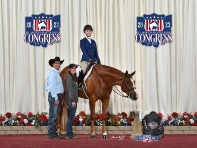 Novice Friendly AYA HUS Gelding