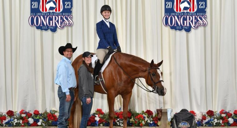 Novice Friendly AYA HUS Gelding