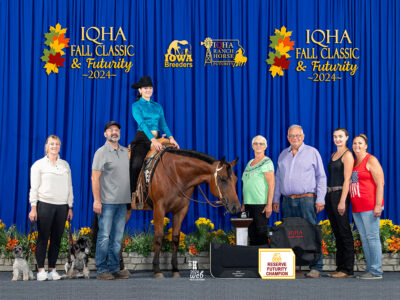 3 yr old AQHA gelding