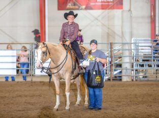 2YO Quadruple Registered Palomino Mare