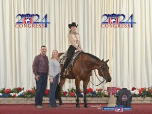 Elite All-Around Gelding