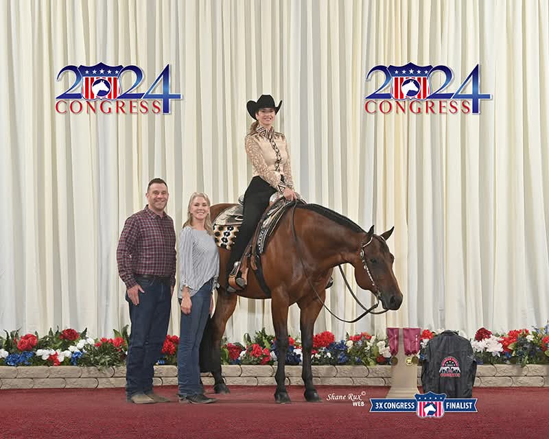 Elite All-Around Gelding