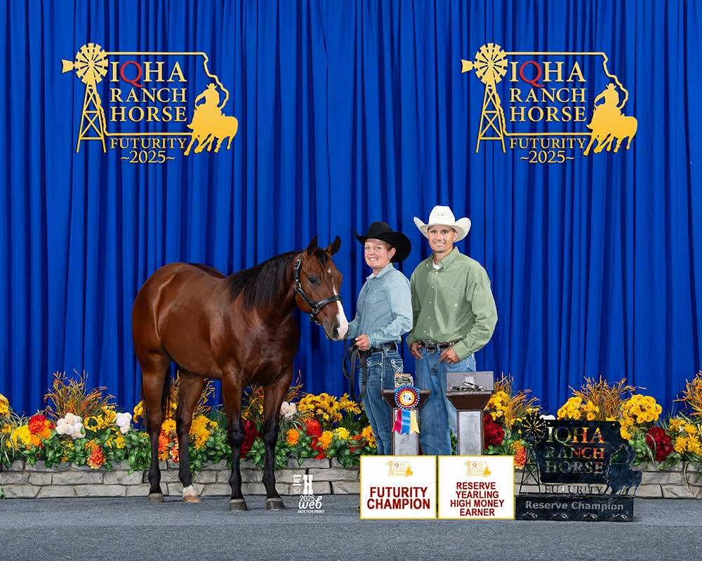 Ranch Rider Prospect Bay Yearling Filly