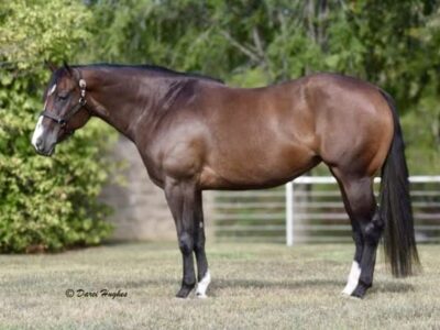 AQHA/APHA/PtHA/NSBA Heart Stoppin Mare