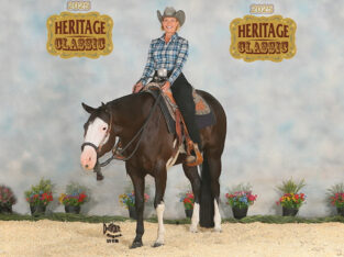APHA 3YO All-Around Prospect