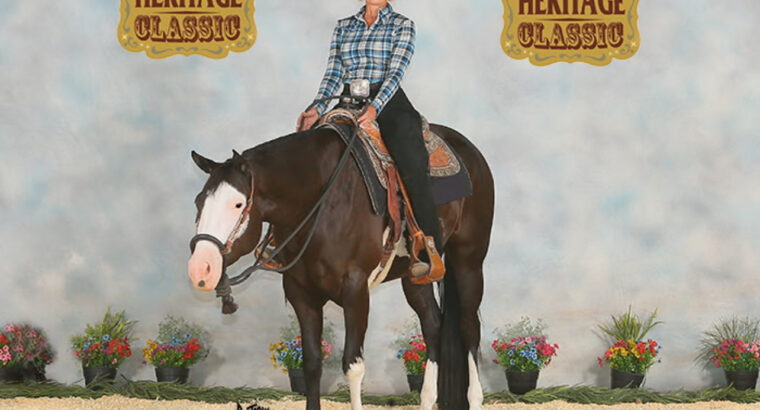 APHA 3YO All-Around Prospect