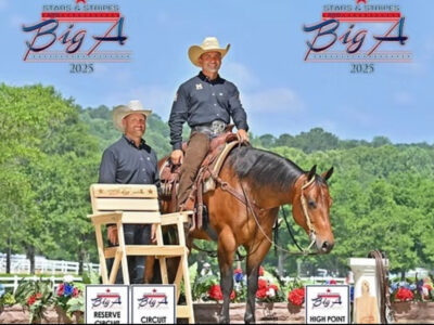 Fancy Ranch Riding Gelding