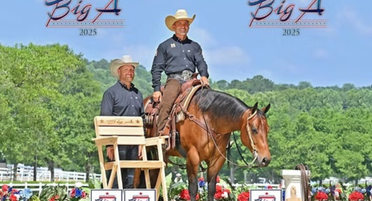 Fancy Ranch Riding Gelding