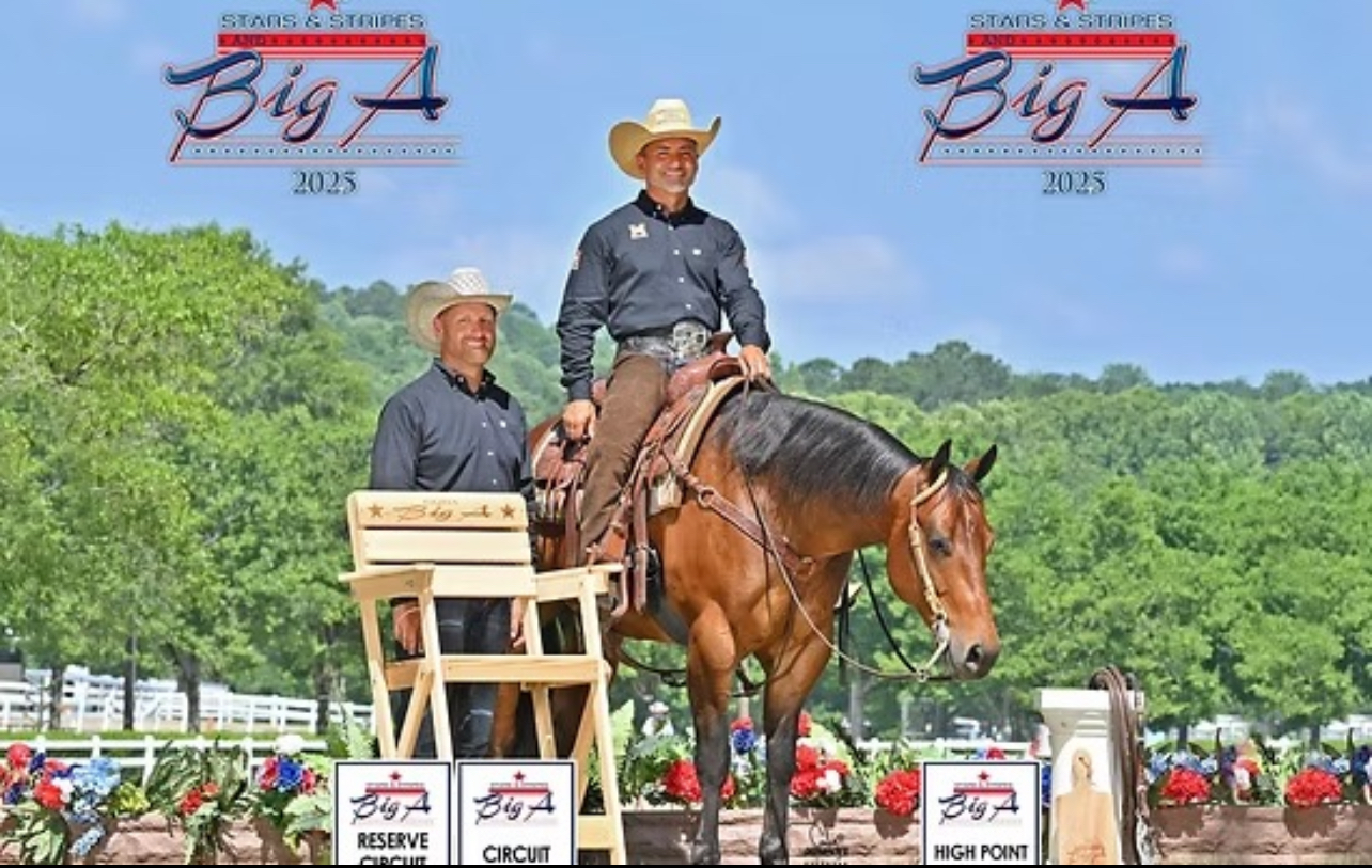 Fancy Ranch Riding Gelding